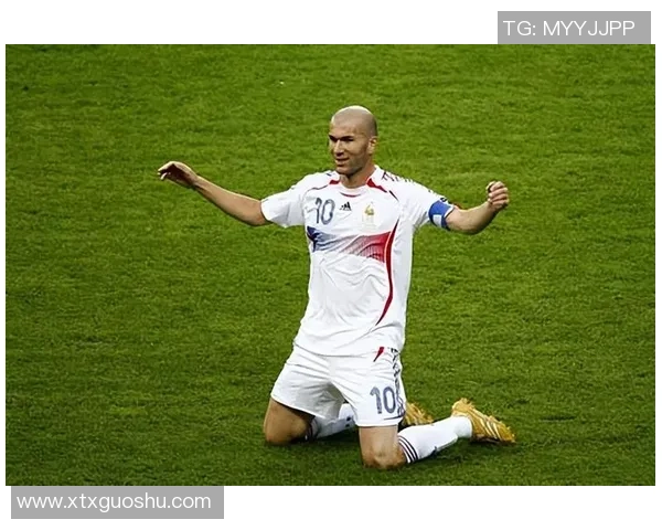 法国历史足球巨星排名揭晓：谁是最伟大的球员