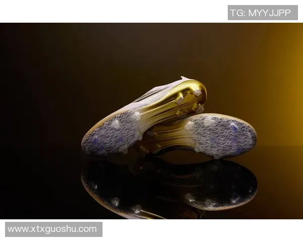 追溯国际传奇足球球星的辉煌岁月与永恒荣耀传世经典